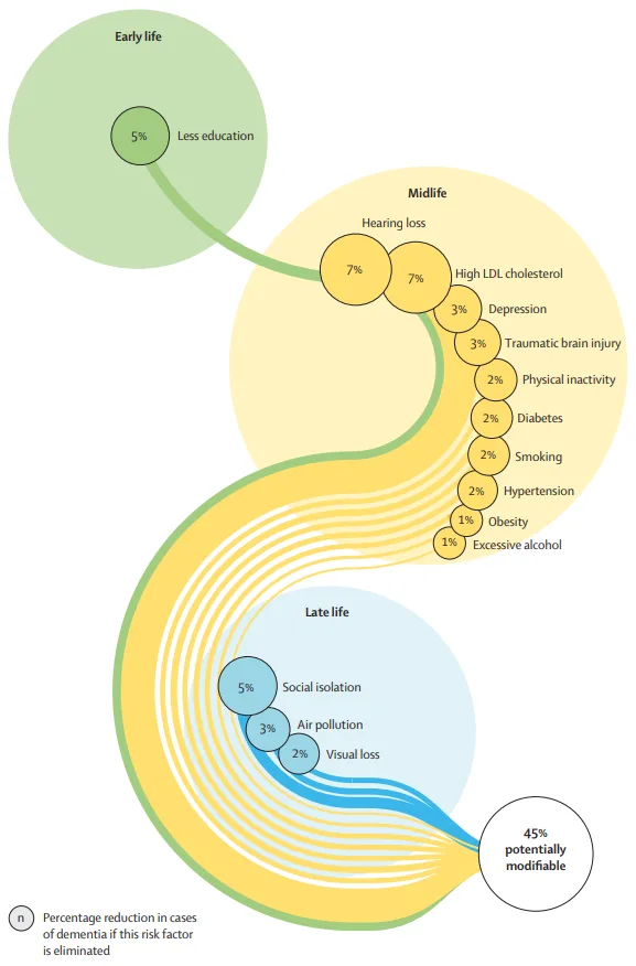risk factors of dementia- hearing loss, depression, diabetes, smoking, hypertension, social isolation, air pollution, visual loss, etc